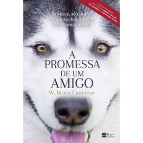 Livro A Promessa De Um Amigo