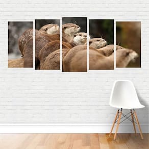 Quadro Animais Grupo de Lontras Ariranha Nadadores em Canvas