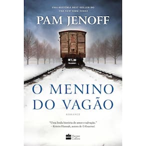 Livro O Menino Do Vagão