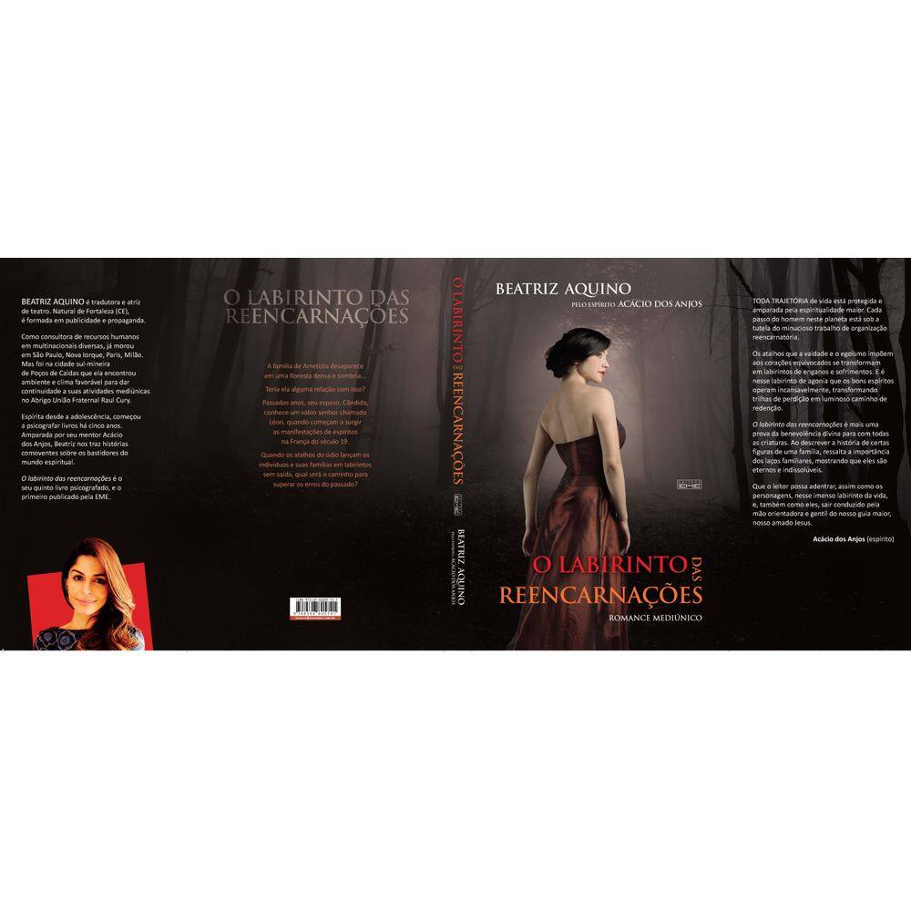 Livro O labirinto das reencarnações