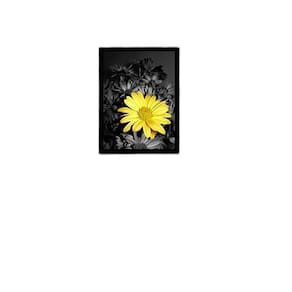 Quadro Fotografia Flor Amarela 24X18Cm - Com Vidro