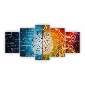 Quadro Psicologia Mente Cálculos Decorativo Canvas Ne15C5G
