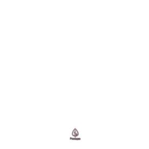 Livro Coisas Que Guardei Pra Mim