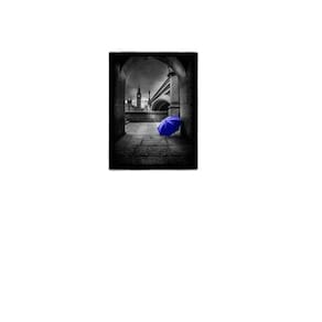 Quadro Decorativo Fotografia Sombrinha Azul 34x23cm