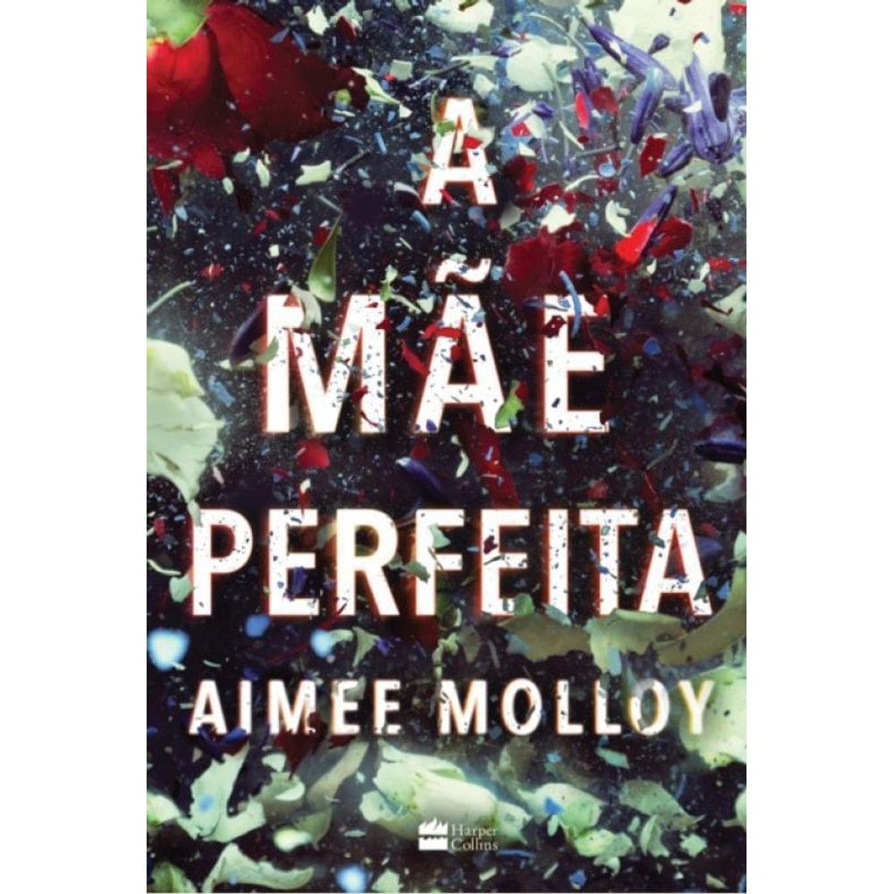 Livro Mae Perfeita, A