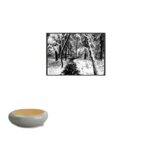 Quadro Fotografia Neve Na Floresta 24X18Cm - Com Vidro