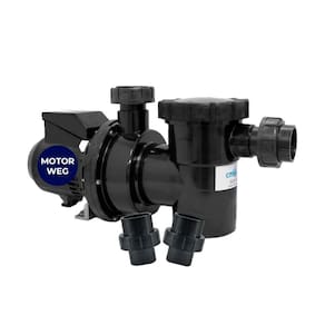 Bomba De Piscina 1/2Cv Sibrape Motor Weg Bivolt Monofasi