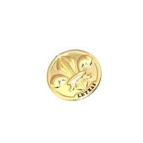 Broche Folheado 2 Cm - Cuidados - 3 Meses Garantia