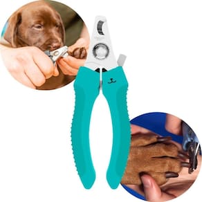 Alicate De Unhas Para Pet Pequeno Azul Propetz