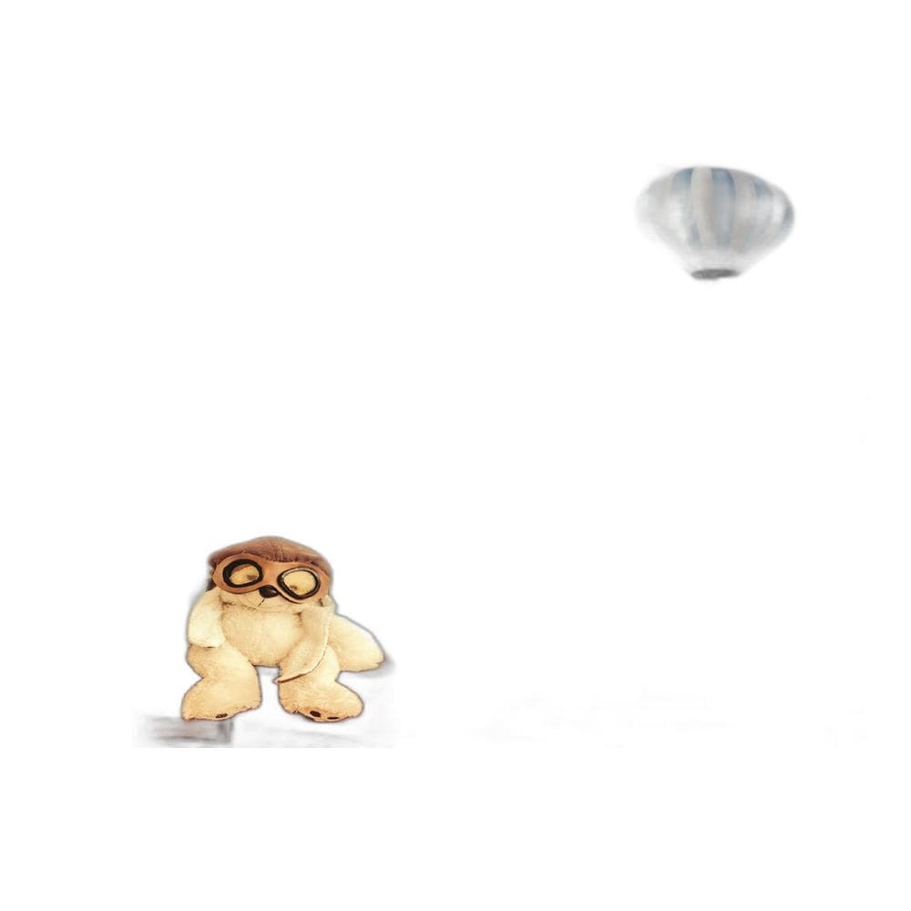 Fundo Fotográfico Em Tecido Urso Balão 2,20X1,50