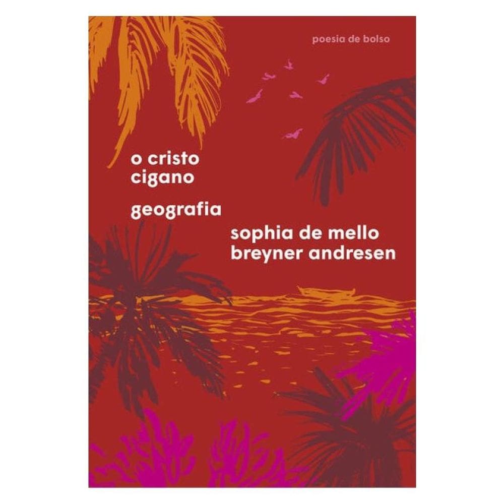 O Cristo Cigano E Geografia