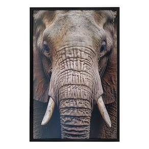 Quadro Decorativo Elefante Moldura Cx Alta 100x66 Titulo Moldura Preta