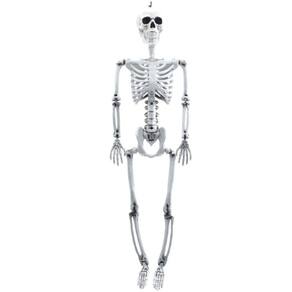 Esqueleto Articulado Leopoldo Halloween - 90cm