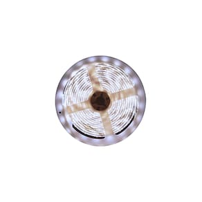 Fita Led Branca Fria 3528 240Leds Ip20 12V 5 Metros - Aaa Top