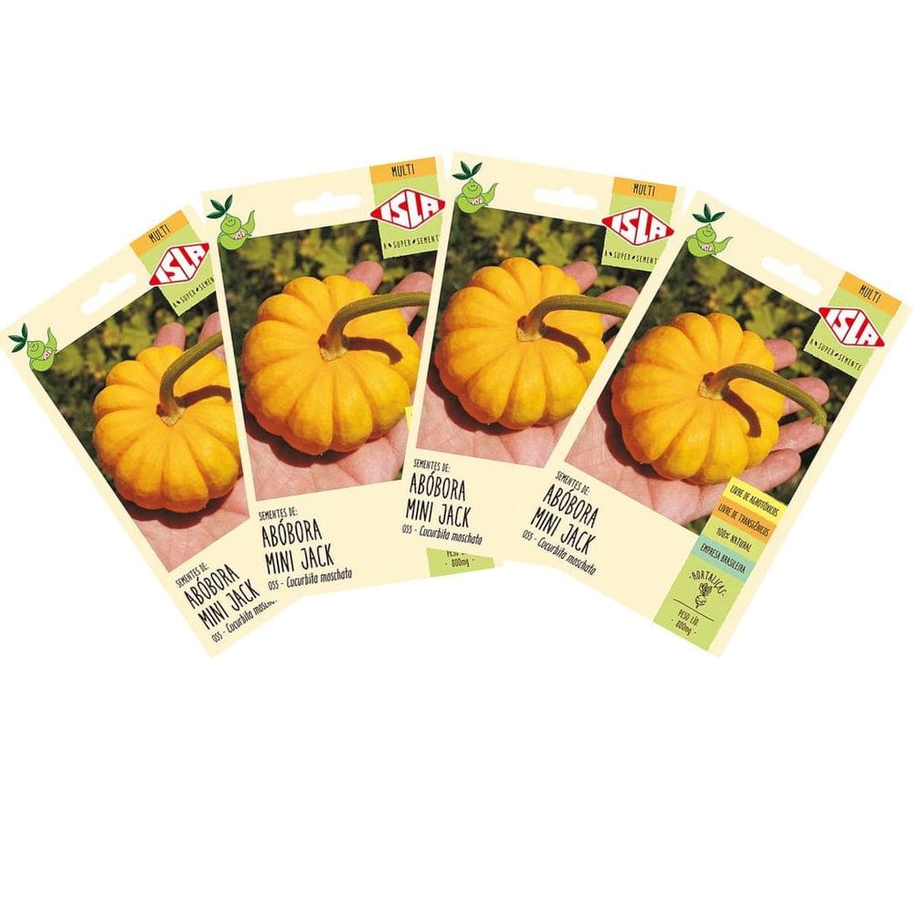 4X Sementes de Abóbora Mini Jack ISLA