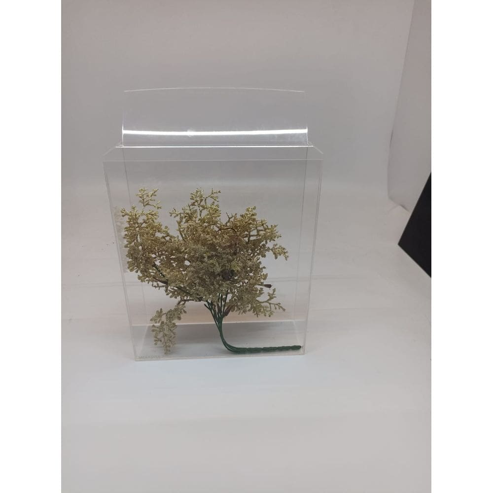 Caixa Moldura Retangular em Acrílico