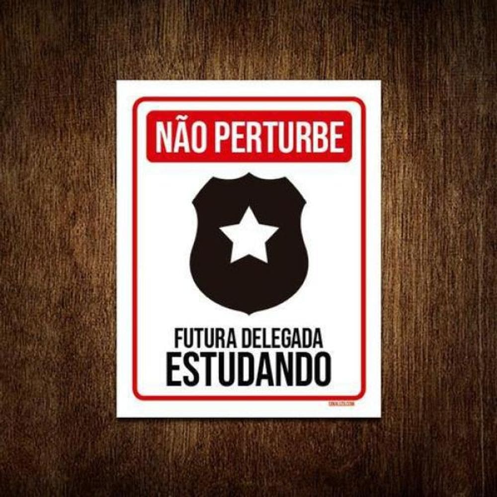 Placa Não Perturbe - Futura Delegada Estudando 18X23