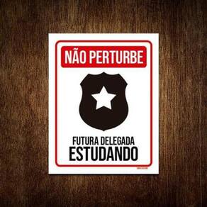 Placa Não Perturbe - Futura Delegada Estudando 18X23
