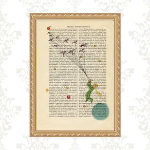 Quadro Moldura Dourada Pequeno Príncipe Vintage 33X24Cm