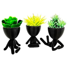Trio De Vasos Bob Robert Plant Em Cerâmica Decor - Black