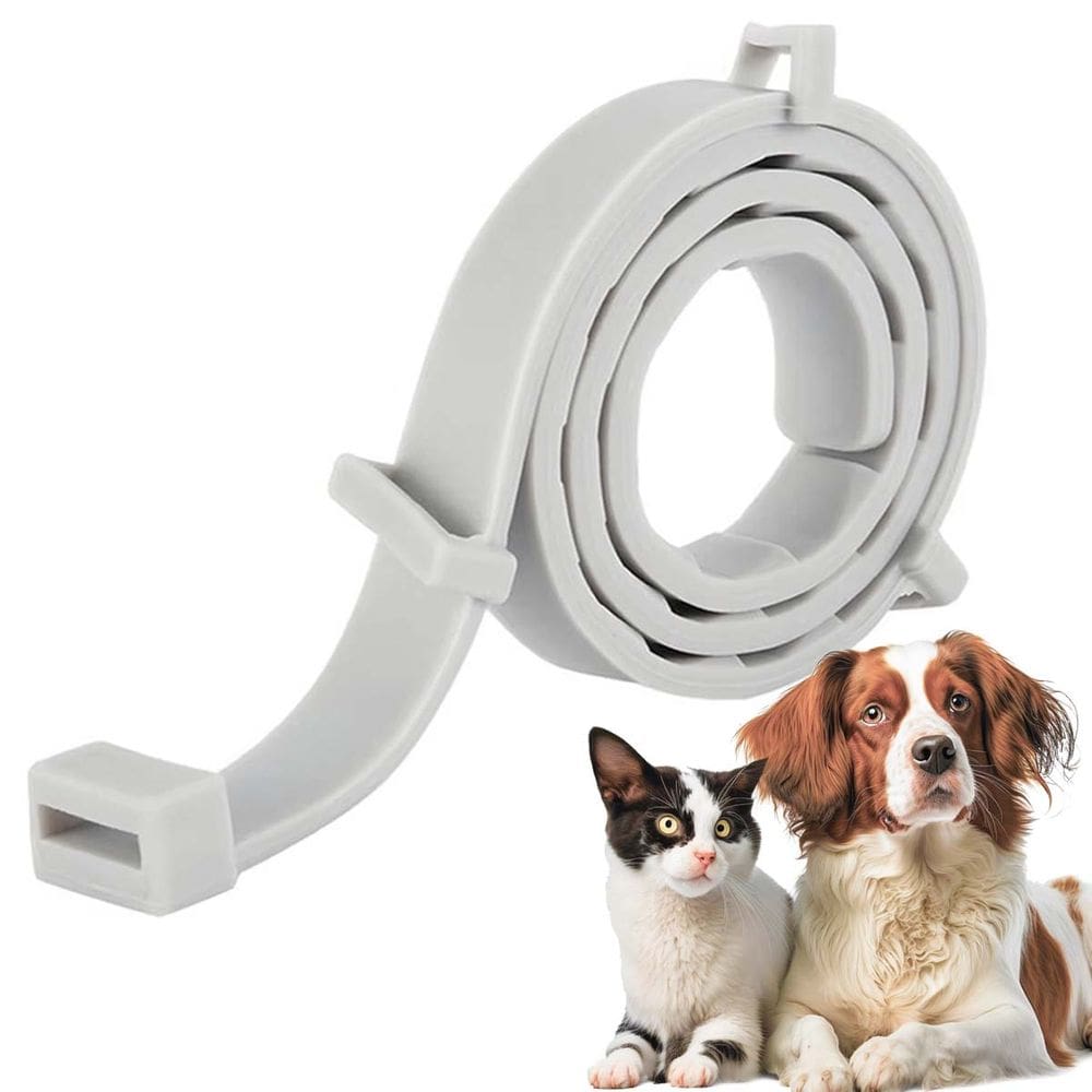 Coleira Anti Pulga Cachorro Gato Cao Pet Carrapato Felino Kit 3 Unid Canino Ajustavel Leishmaniose Proteçao Resistente