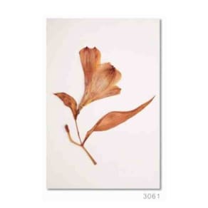 Tela Moldura MDF Vanila 70x105 cm Imagem 3061 Selezione Decor