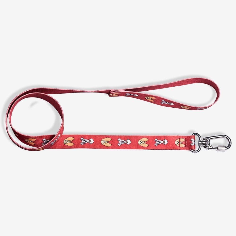 Guia Zc Pets A Dama E O Vagabundo Disney M