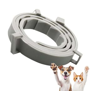 Coleira Anti Pulga Gato Cao Cachorro Pet Carrapato Leishmaniose Kit 3 Uni. Canino Felino Tamanho Eficaz Resistente Ajustavel Proteção