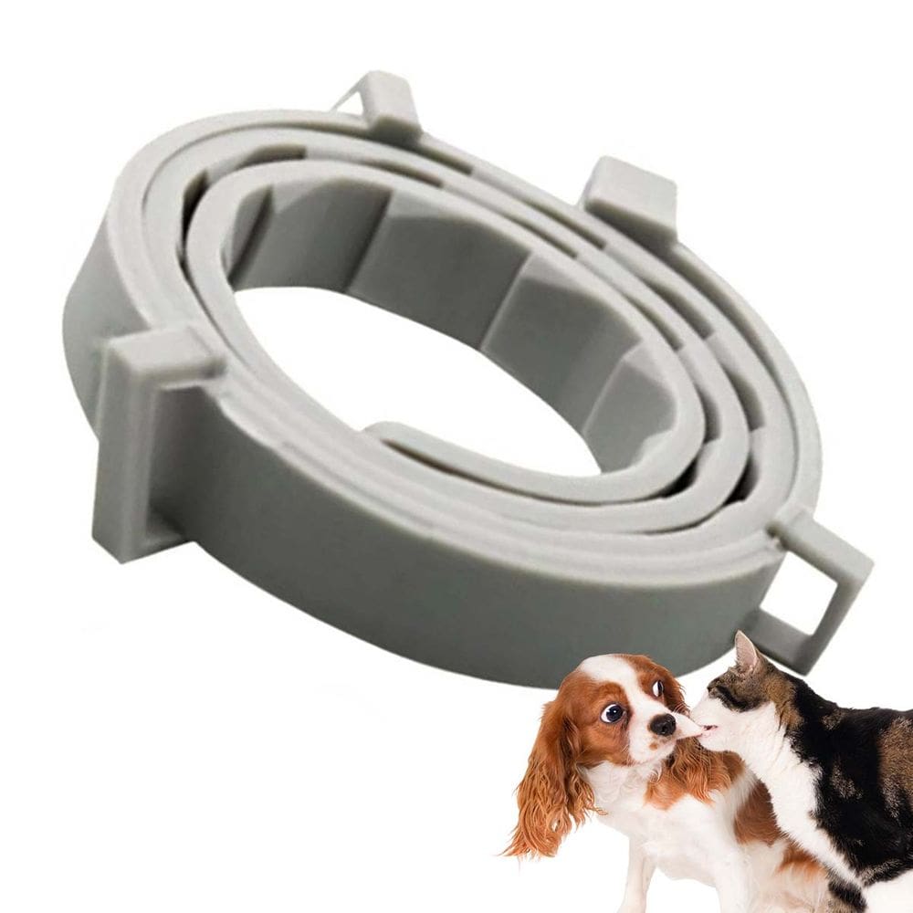 Coleira Anti Pulga Gato Cao Cachorro Pet Carrapato Leishmaniose Canino Felino Tamanho Kit 4 Uni. Eficaz Resistente Proteção Ajustavel