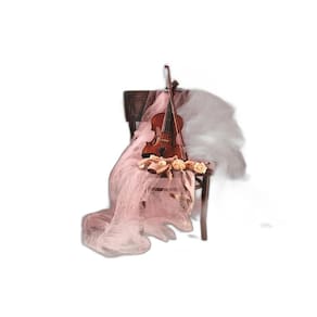 Fundo Fotográfico Em Tecido Violino Bailarina 2,20X1,50