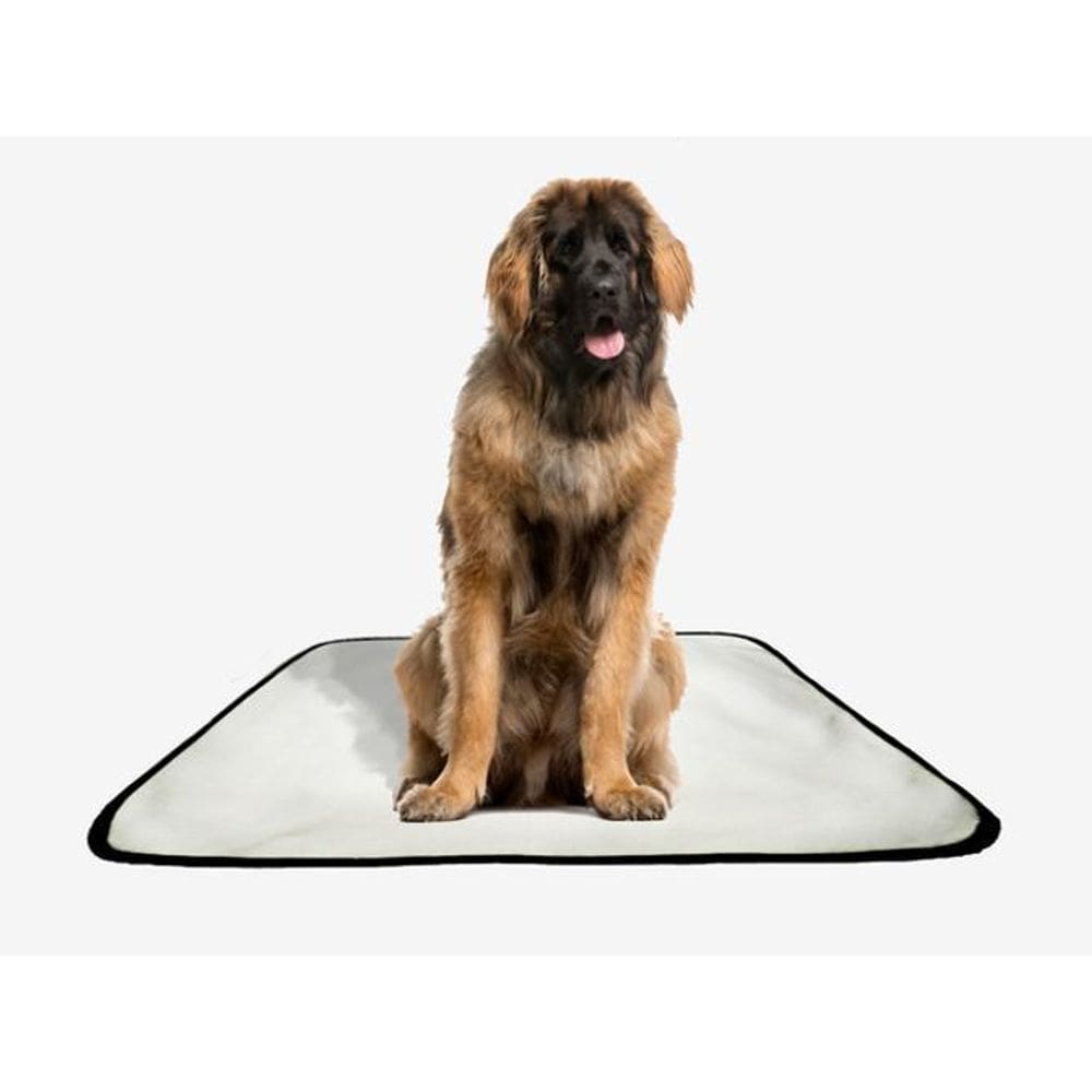 Tapete Pet Lavável Educador Higiênico 4 Un G2 120X120Cm