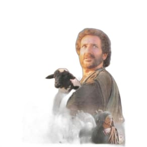 Dvd Moisés