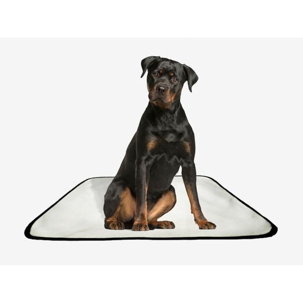 Tapete Pet Lavável Educador Higiênico 1 Un G 90X100Cm