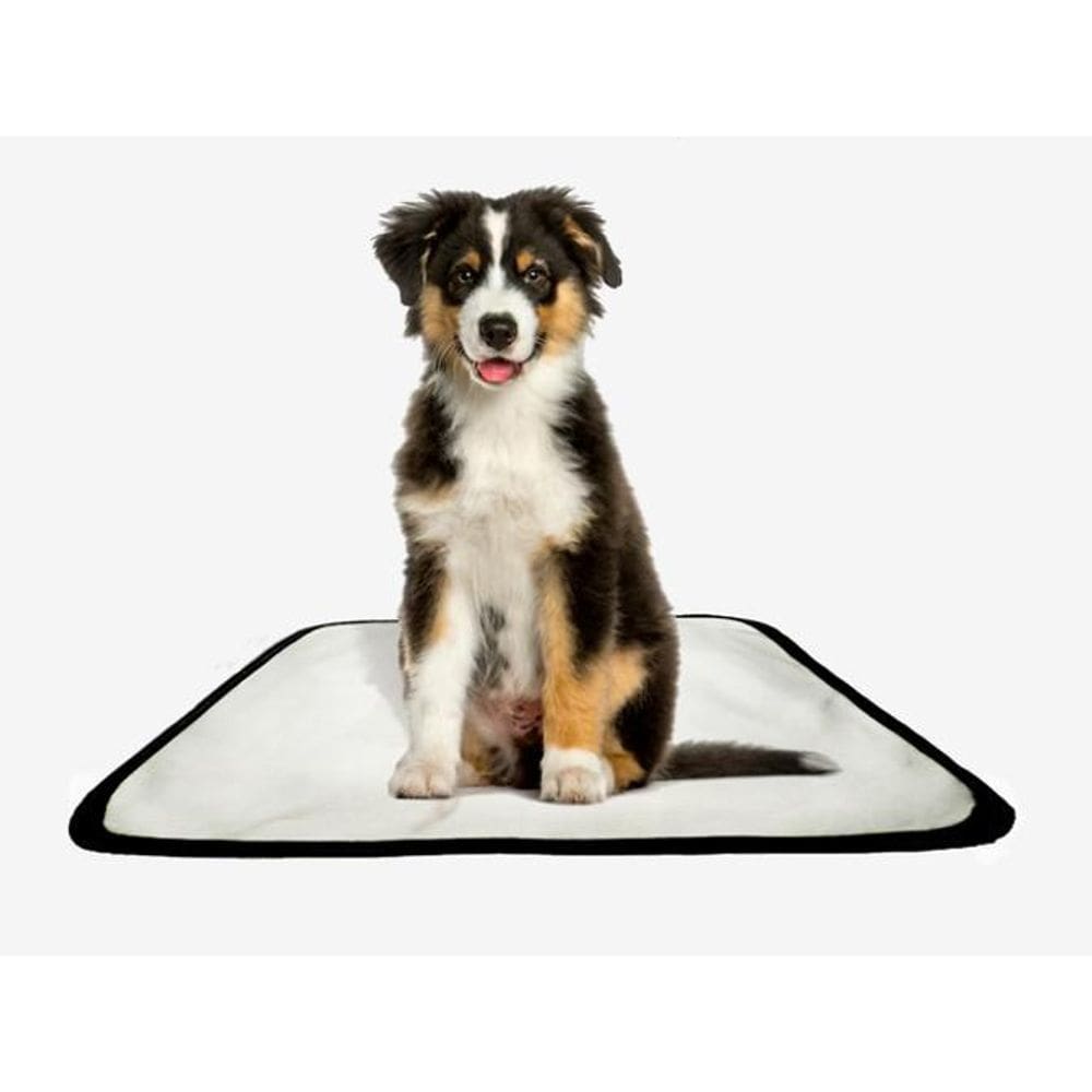 Tapete Pet Lavável Adestramento Higiênico 5 Un P 50X60Cm