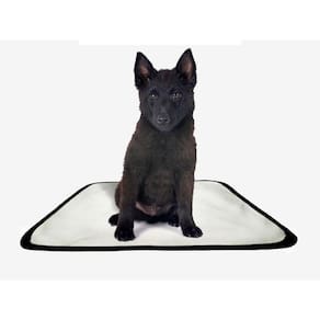 Tapete Pet Lavável Educador Higiênico 1 Un P 50X60Cm