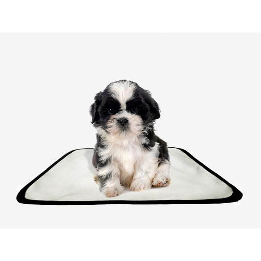 Tapete Pet Lavável Educador Higiênico 3 Un Pp 40X50Cm