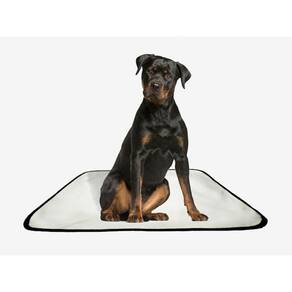 Tapete Pet Lavável Adestramento Higiênico 4 Un G 90X100Cm