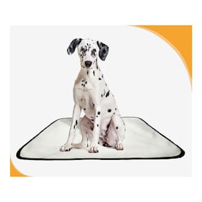 Tapete Para Cães Prático Ecológico 1 Un M 60X80 Cm