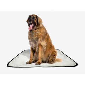 Tapete Pet Lavável Educador Higiênico 4 Un G1 100X120Cm