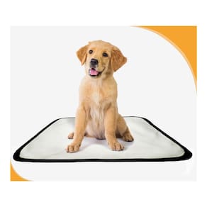 Tapete Para Cães Prático Ecológico 10 Un P1 50X70Cm