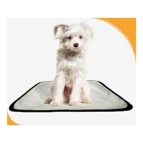 Banheiro Canino Móvel Reutilizável Pet 1Un P 50X60 Cm