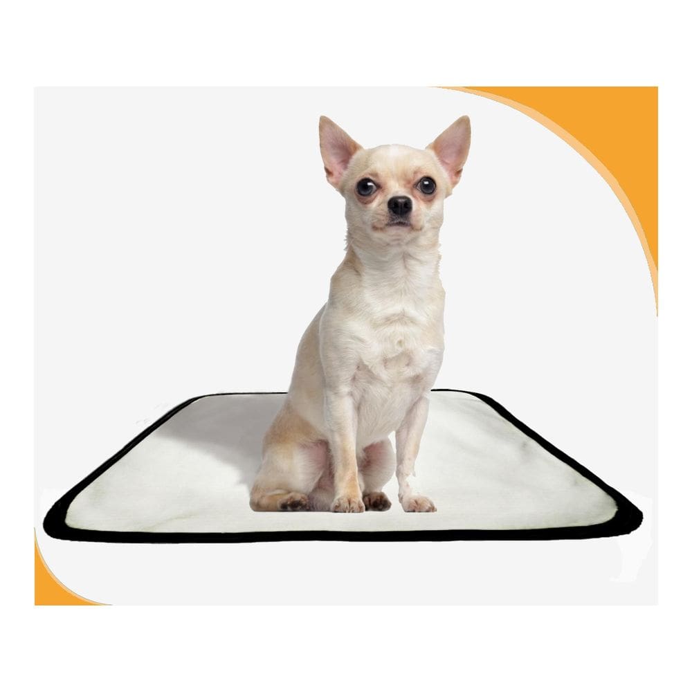 Tapete Para Pets Lavável Canino Prático 3 Un P 50X60Cm
