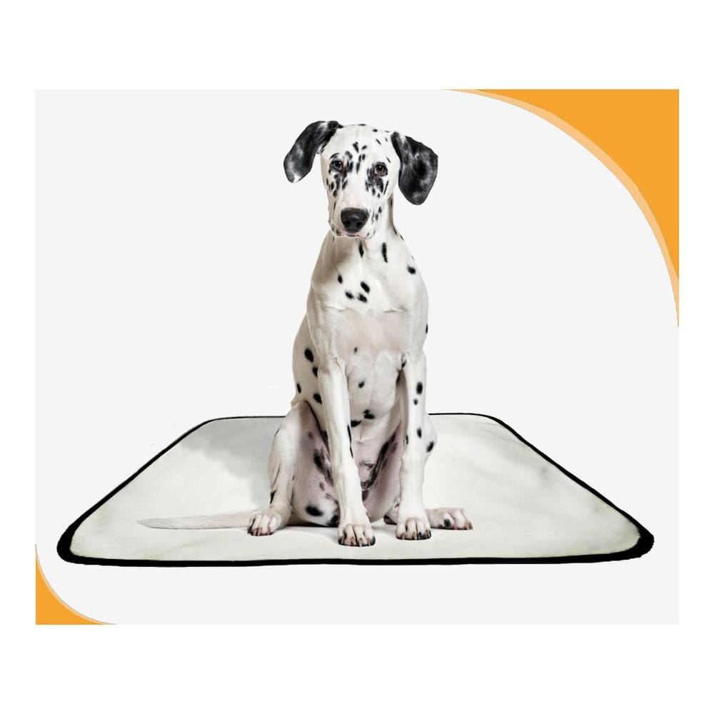 Tapete Pet Lavável Prático Estratégico 3 Un M 60X80 Cm
