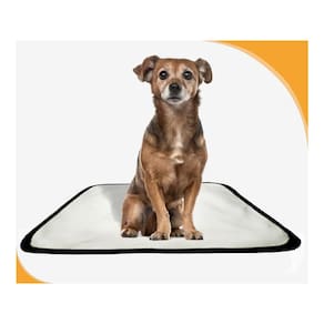 Tapete Para Cães Prático Ecológico 1 Un P 50X60Cm