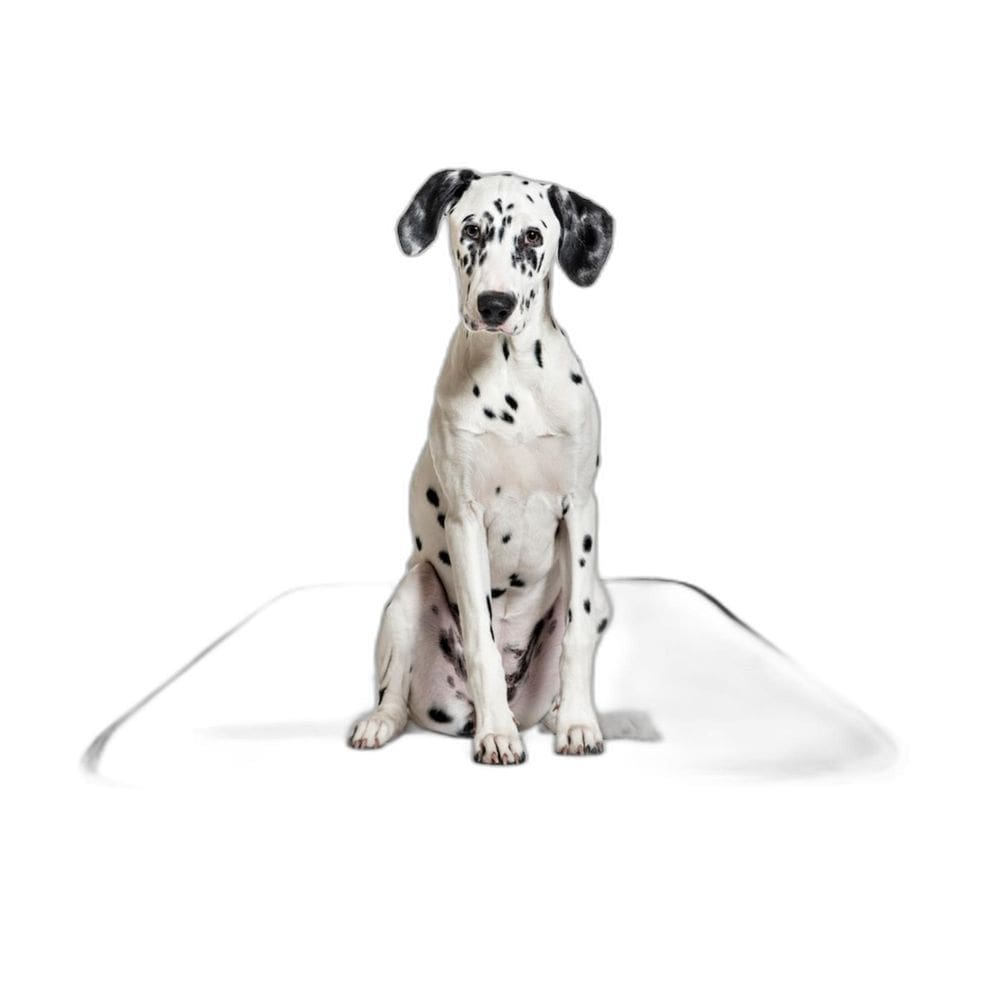 Tapete Pet Lavável Prático Estratégico 4 Un M 60X80 Cm