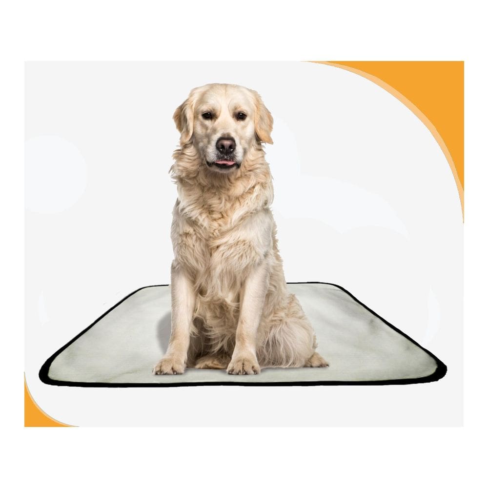 Tapete Para Adestramento Pet Reutilizável 4Un G 90X100 Cm