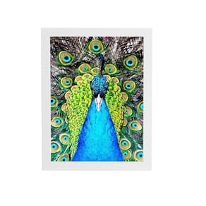 Pavão Animais Arte Colorido Quadro Moldura Branca 60X40Cm