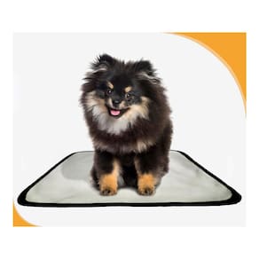 Tapetes Higiênicos Pet Lavável Absorvente 4 Un P 50X60 Cm