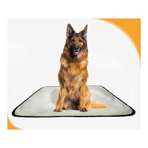 Tapete Pet Para Cães, Higiênico, Lavável, 3 Un G - 90X100 Cm