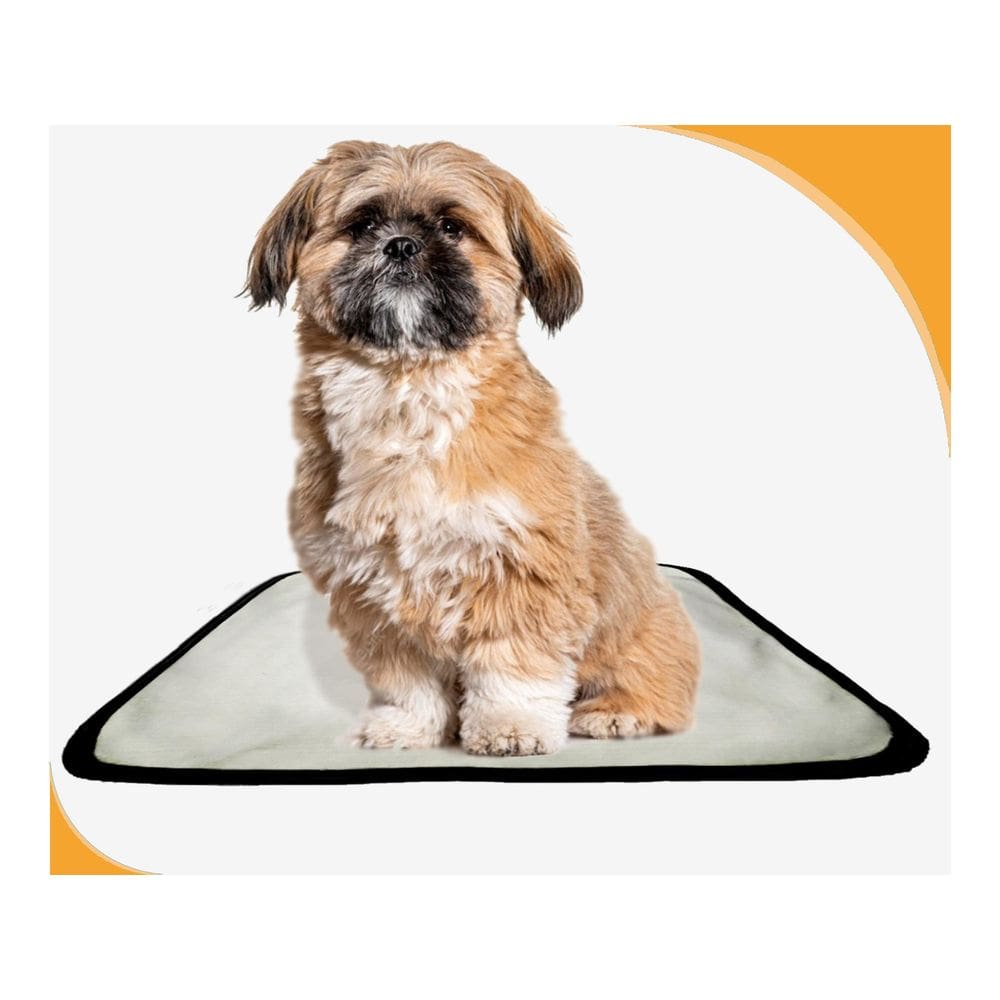 Tapete Adestramento De Cachorro Reutilizável 10Un P 50X60 Cm